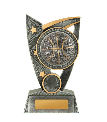 Challenger Basketball - 3 Sizes