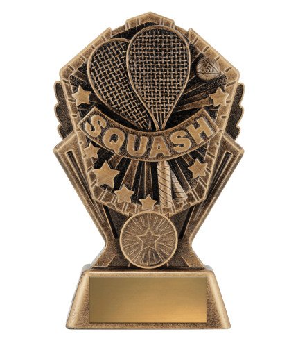 Cosmos Series Squash - 3 Sizes