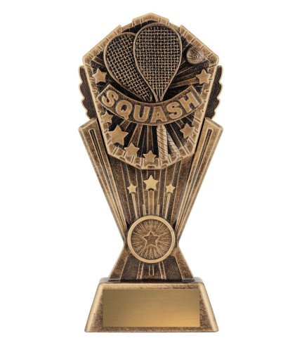 Cosmos Series Squash - 3 Sizes