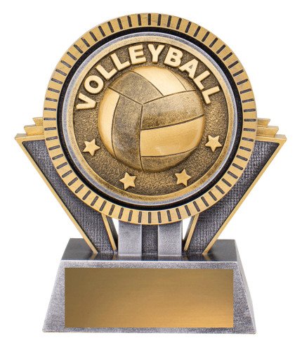 Spartan Volleyball - 3 Sizes