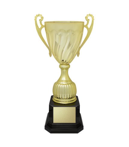 AAE Cruiser Cup - Gold - 5 Sizes