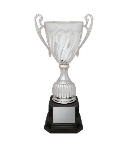 AAE Cruiser Cup - Silver - 5 Sizes