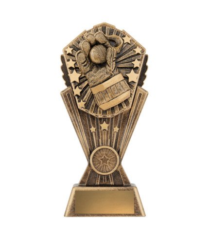 Cosmos Series Cricket Wicketkeeper - 3 Sizes