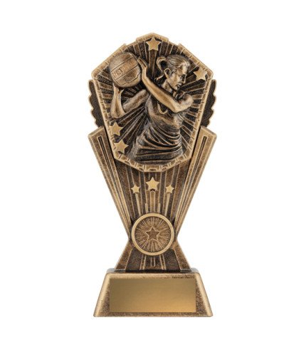 Cosmos Series Netball - 3 Sizes