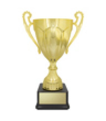 Rubicon Cup - Gold - 8 Sizes