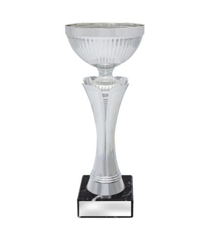 Equity Cup - Silver - 3 Sizes