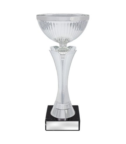 Equity Cup - Silver - 3 Sizes