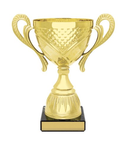Flagstone Cup - Gold - 4 Sizes