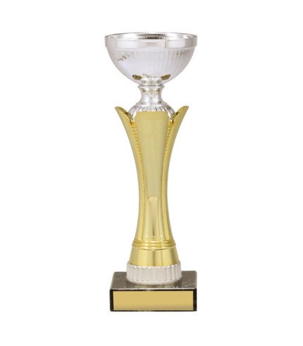 Equity Cup - Silver/Gold - 5 Sizes