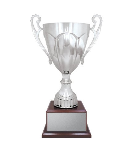 AAA Rubicon Cup - Silver - 6 Sizes