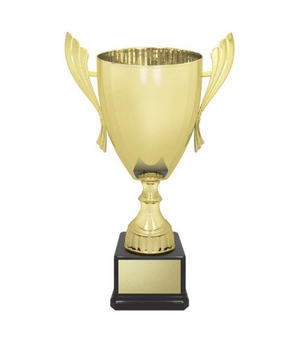 AAA Ironside Cup - Gold - 7 Sizes