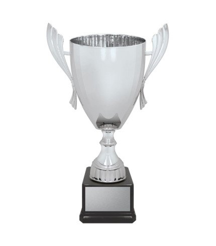 AAA Ironside Cup - Silver - 7 Sizes