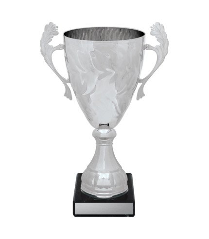 Eternal Cup - Silver - 6 Sizes