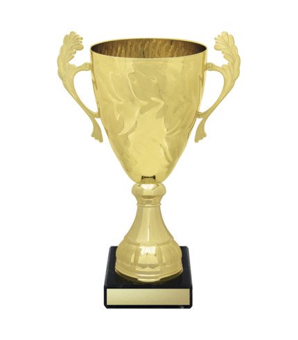 Eternal Cup - Gold - 6 Sizes