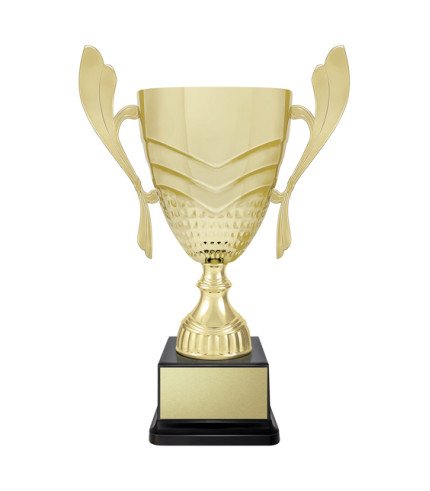 AAA Avalon Cup - Gold - 8 Sizes