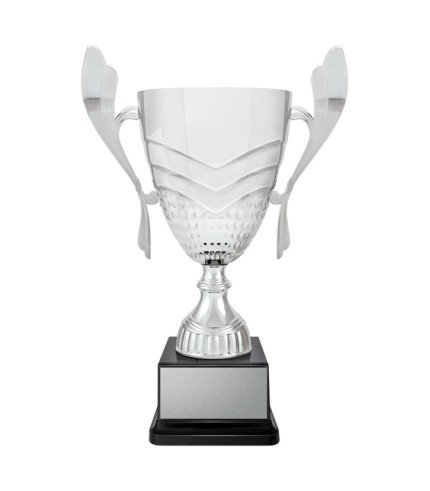 AAA Avalon Cup - Silver - 8 Sizes