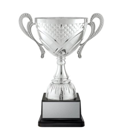 AAA Welcome Cup - Silver - 5 Sizes