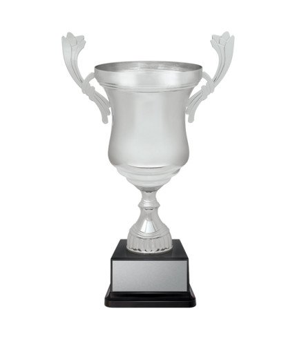 AAA Raider Cup - Silver - 6 Sizes