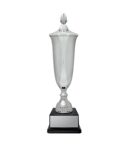 AAA Arsenal Cup - Silver - 5 Sizes