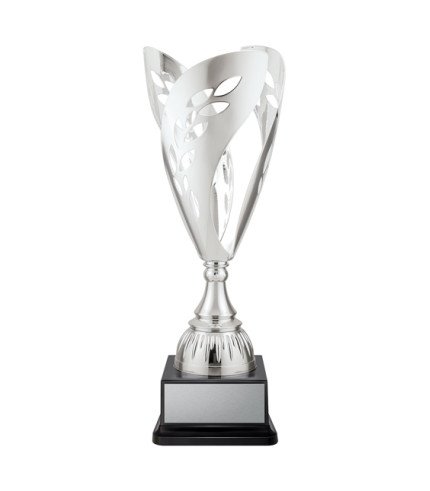 AAA Vittoria Cup - Silver - 3 Sizes