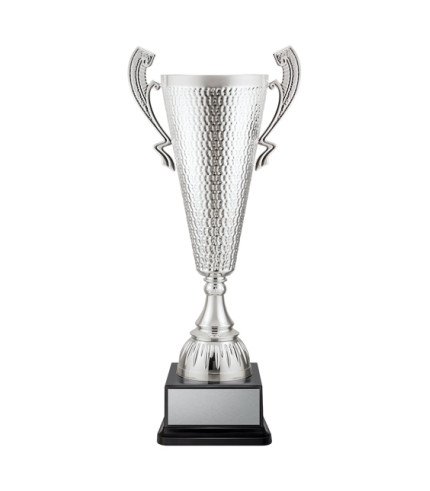 AAA Sentinel Cup - Silver - 3 Sizes
