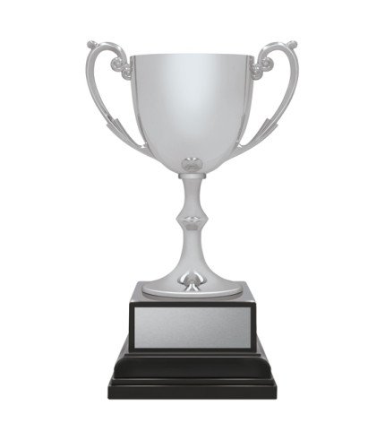 Recognition Ace - Silver - 3 Sizes