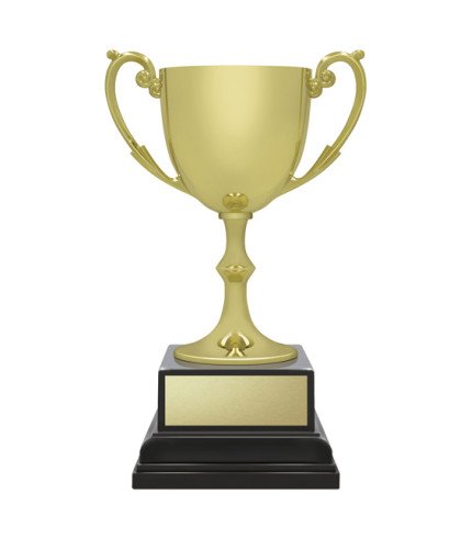 Recognition Ace - Gold - 3 Sizes