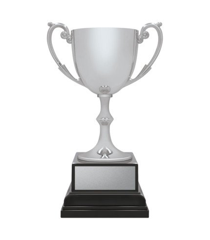 Recognition Ace - Silver - 3 Sizes