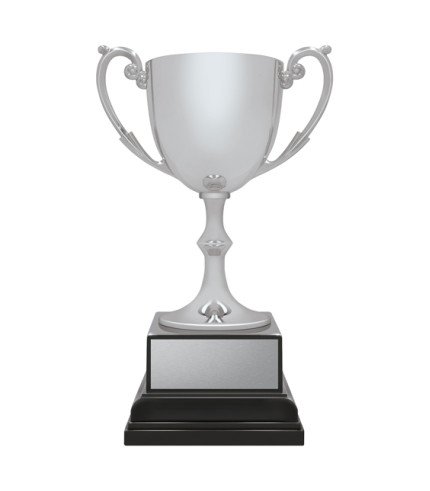 Recognition Ace - Silver - 3 Sizes