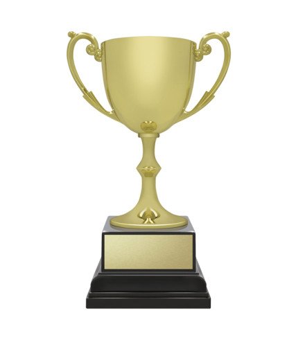 Recognition Ace - Gold - 3 Sizes