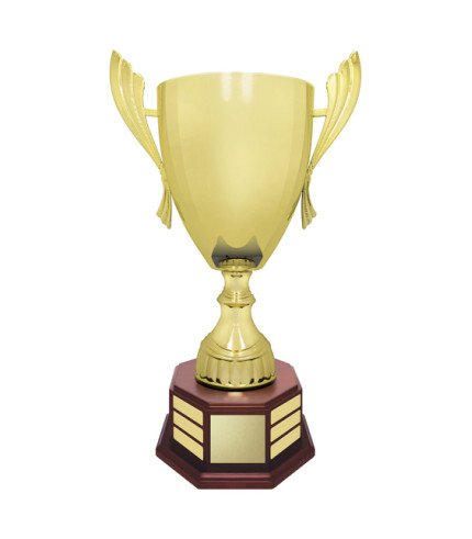 Concordia Cup Perpetual