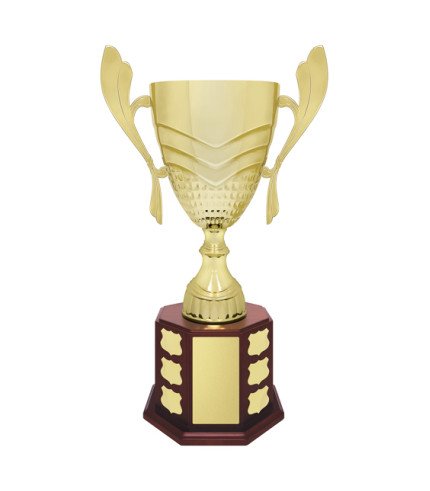 Ensign Cup Perpetual