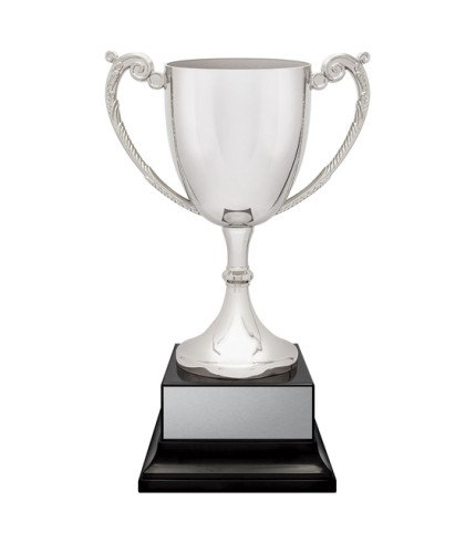 AAA Provenance Cup - Silver -4 Sizes