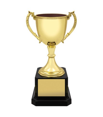 AAA Ultimate Cup - Nickel Plated - Gold - 10 Sizes