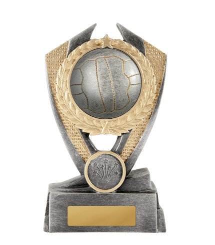 Hero Shield Netball - 3 Sizes