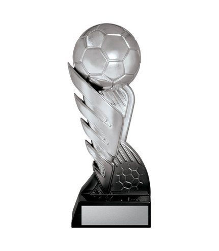 AA Pegasus Metallic Football Silver / Black - 3 Sizes