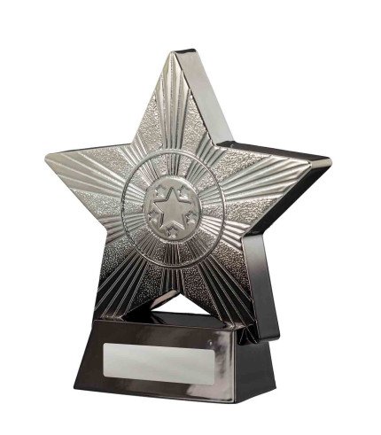 AA Superstar Series G,S,B,P - 2 Sizes