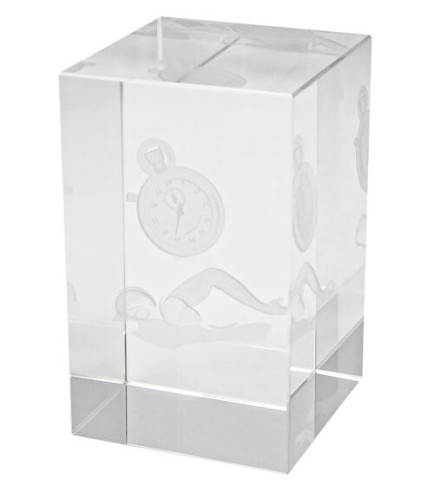 Crystal Hologram Lightbox Swimming - 1 Size