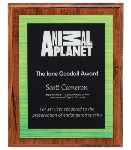 Distinct Corp - Vivid Acrylic Plaque Green 250mm