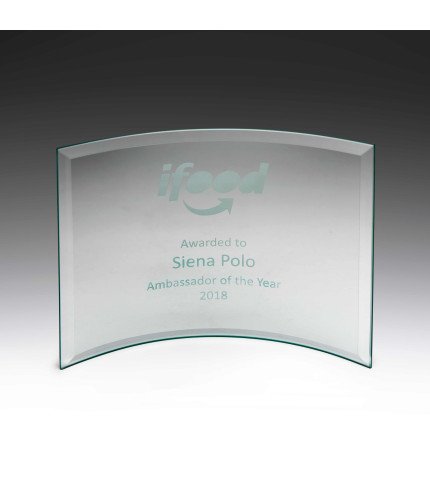 Distinct Corp - Concave Award  125mm