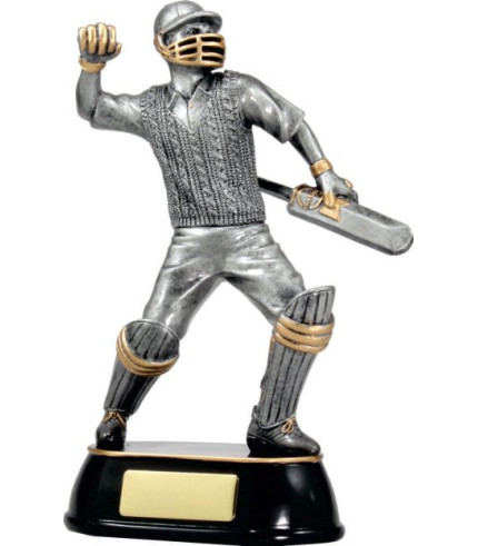 Celebration - Cricket Batsman (M)