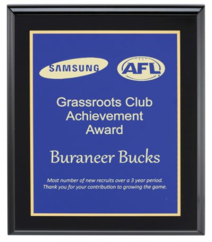 Plaque - Designer Black - 225mm