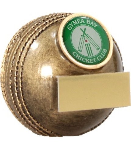 Mini Ball - Cricket