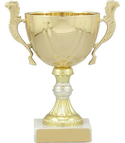 Cup - Two Tone Gold and Silver