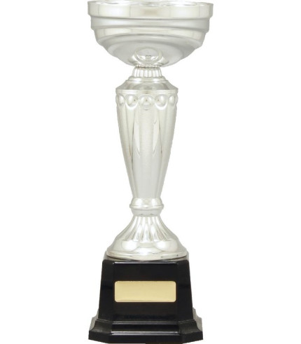 Cup - Silver Plastic and Metal