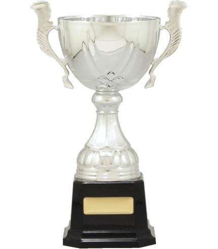 Cup - Silver Plastic and Metal