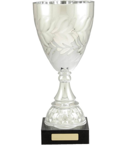 Cup - Silver Plastic and Metal