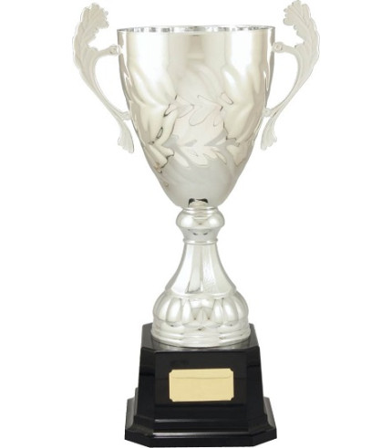 Cup - Silver Plastic and Metal